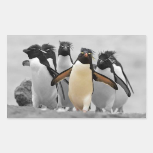 Rockhopper Penguins Rechthoekige Sticker (Voorkant)