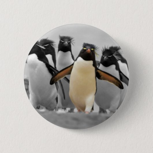 Rockhopper Penguins Ronde Button 5,7 Cm (Voorkant)