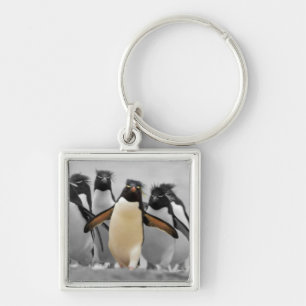 Rockhopper Penguins Sleutelhanger