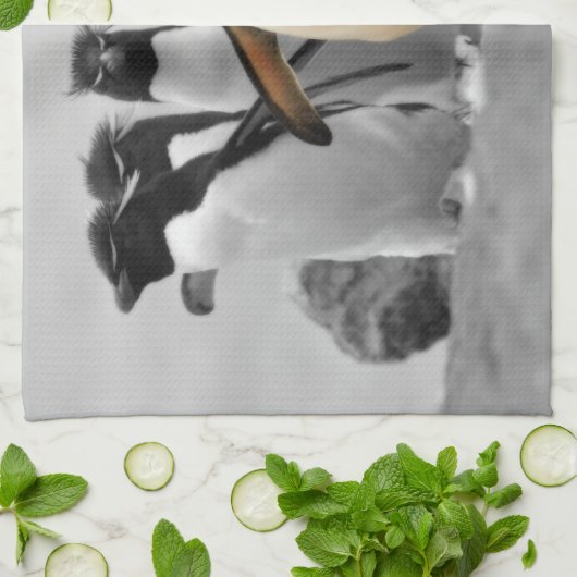 Rockhopper Penguins Theedoek (Gevouwen)