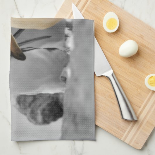 Rockhopper Penguins Theedoek (Quarter Fold)