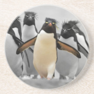 Rockhopper Penguins Zandsteen Onderzetter