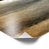 Rockhouse, Hocking Hills, Ohio Foto Afdruk (Hoek)