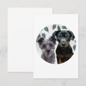 Rockie en Lyla geconfronteerd met .75 inch sticker Kaart (Voorkant / Achterkant)