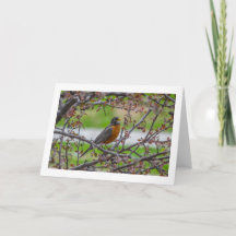 "Rockin'" blanco gevouwen wenskaart