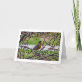 "Rockin'" blanco gevouwen wenskaart Kaart