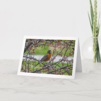 "Rockin'" blanco gevouwen wenskaart Kaart