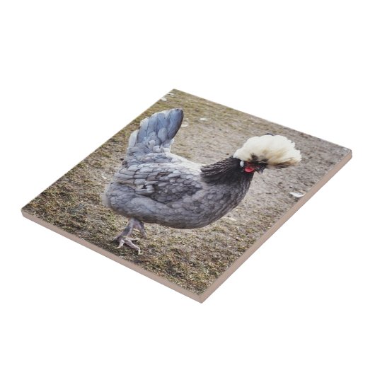 Rockin de Pompadour Rooster Tile Tegeltje (Zijkant)