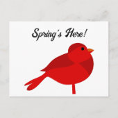 Rockin Robin Rode Kardinaal Schattigee Kinder Natu Briefkaart (Voorkant)