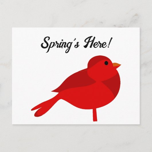 Rockin Robin Rode Kardinaal Schattigee Kinder Natu Briefkaart (Voorkant)