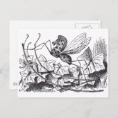Rocking Horse Fly Briefkaart (Voorkant / Achterkant)