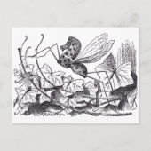 Rocking Horse Fly Briefkaart (Voorkant)