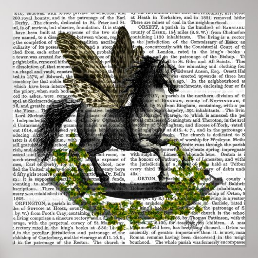 Rocking Horse Fly Poster (Voorkant)