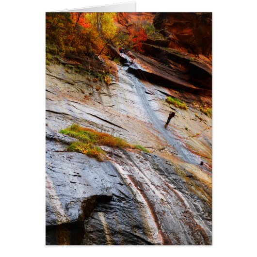 Rockklimmer, The Narrows, Zion NP, Blank Kaart (Voorkant)