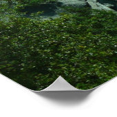 Rockklimmers op El Capitan Poster (Hoek)