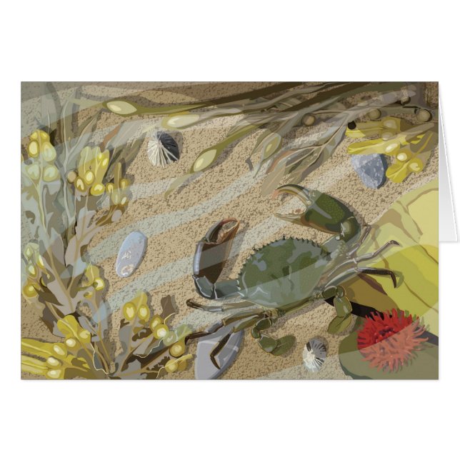 Rockpool (Voorkant Horizontaal)