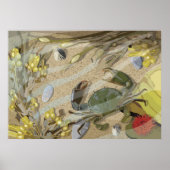 Rockpool Poster (Voorkant)