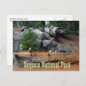 Rocks and Trees, Sequoia National Park Briefkaart (Voorkant / Achterkant)