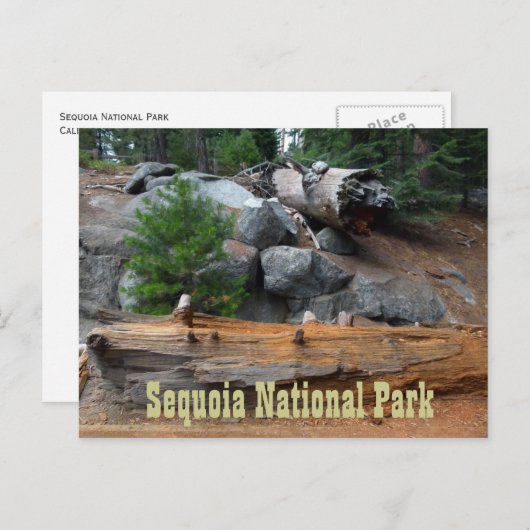 Rocks and Trees, Sequoia National Park Briefkaart (Voorkant / Achterkant)