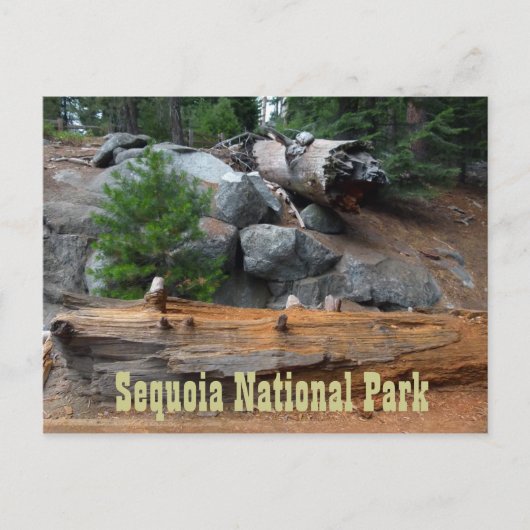 Rocks and Trees, Sequoia National Park Briefkaart (Voorkant)