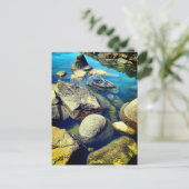 Rocks Briefkaart (Staand voorkant)