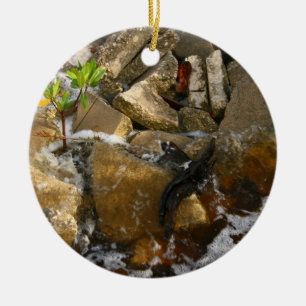Rocks Cement Blocks en Mangrove Seedling Keramisch Ornament