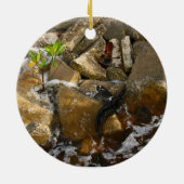 Rocks Cement Blocks en Mangrove Seedling Keramisch Ornament (Achterkant)