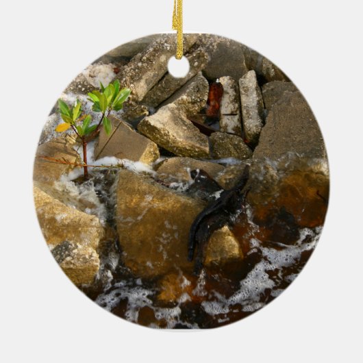 Rocks Cement Blocks en Mangrove Seedling Keramisch Ornament (Achterkant)