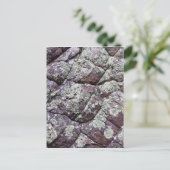 Rocks in balletvorm met Lichen Moss Briefkaart (Staand voorkant)