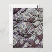 Rocks in balletvorm met Lichen Moss Briefkaart (Voorkant / Achterkant)