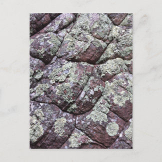 Rocks in balletvorm met Lichen Moss Briefkaart