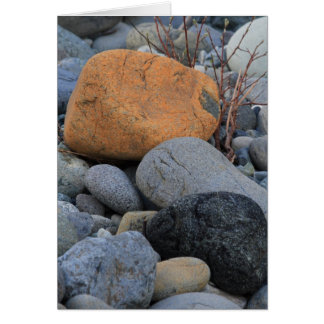 Rocks in het sequoienbos