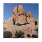 Rocks in Joshua Tree National Park Tegeltje (Voorkant)