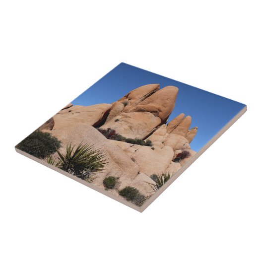 Rocks in Joshua Tree National Park Tegeltje (Zijkant)