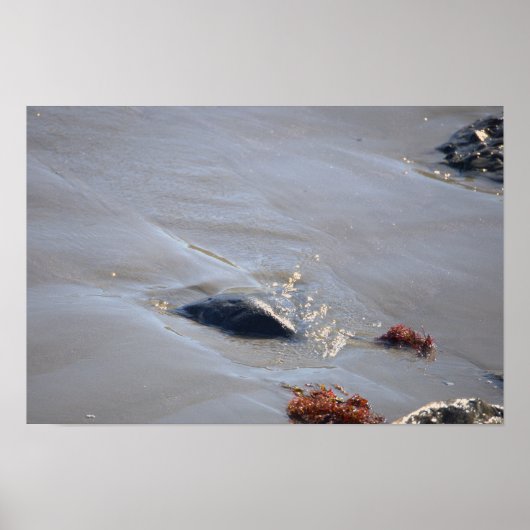 Rocks in the Ocean Poster (Voorkant)