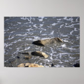 Rocks in the Ocean Poster (Voorkant)