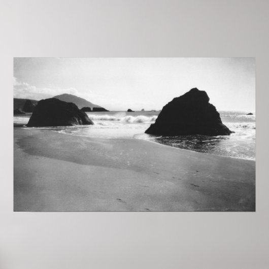 Rocks langs Beach in Port Orford, Oregon Poster (Voorkant)