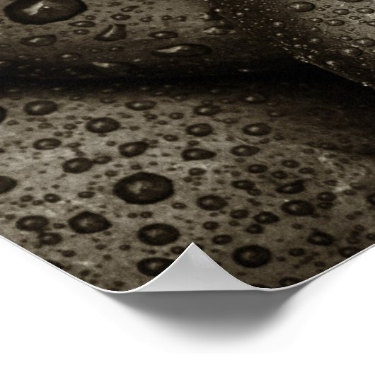 Rocks met regendruppels poster (Hoek)