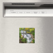 Rocks National Lakeshore, Sable Falls Magneet (Insitu (Vaatwasser))