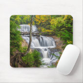 Rocks National Lakeshore, Sable Falls Muismat (Met muis)