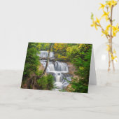 Rocks National Lakeshore, Sable Herfsten Kaart (Gele Bloem)