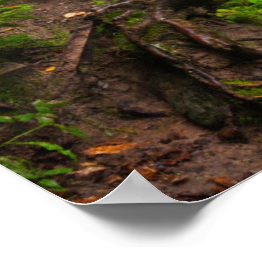 Rocks National Lakeshore, Sable Herfsten Poster (Hoek)