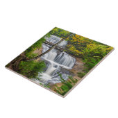 Rocks National Lakeshore, Sable Herfsten Tegeltje (Zijkant)