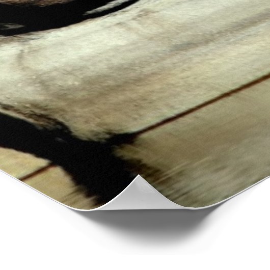 Rocks op het meer van Watson Poster (Hoek)