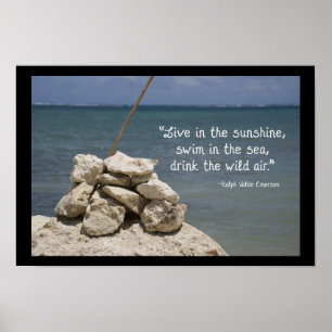 Rocks op het tropische strand poster