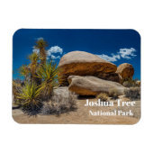 Rocks, Planten, Sand, Joshua Tree National Park, C Magneet (Horizontaal)