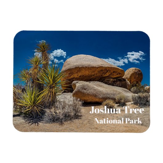 Rocks, Planten, Sand, Joshua Tree National Park, C Magneet (Horizontaal)