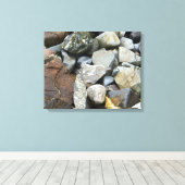 Rocks Stretched 20-inch x16-inch canvas afdrukken (Insitu (Houten vloer))