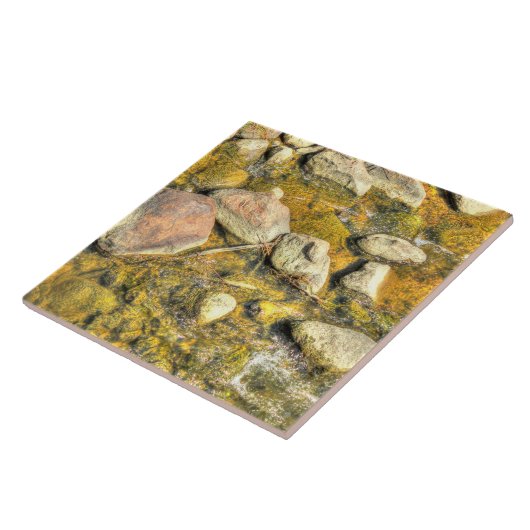 Rocks Tegeltje (Zijkant)