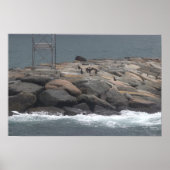 Rocks with Birds Ocean Waterscape Poster (Voorkant)